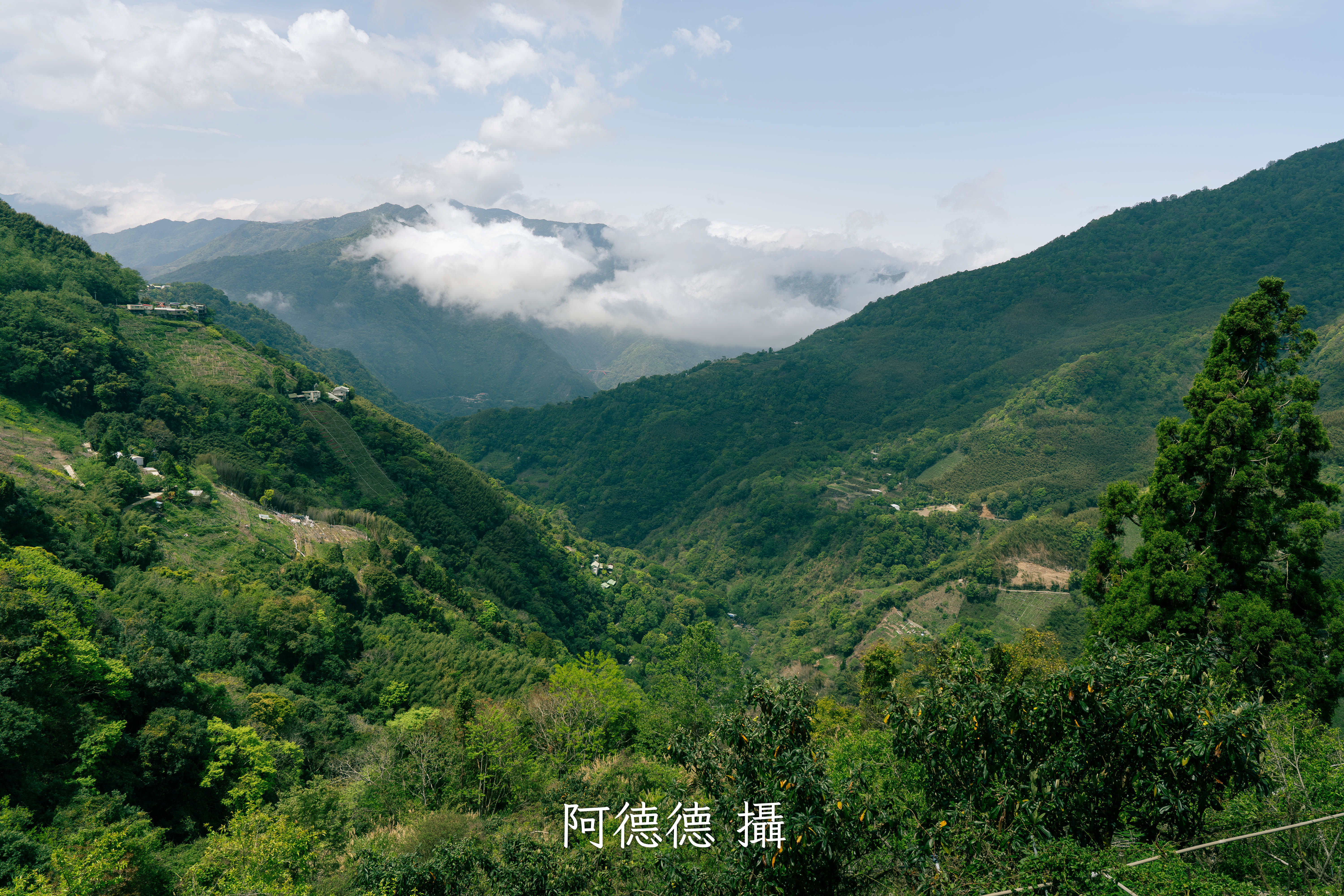 風景作品 9